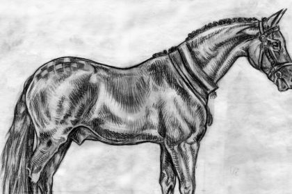 Drawing:v74uyhgg9tq= horse