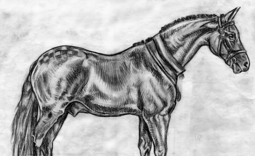 Drawing:v74uyhgg9tq= horse